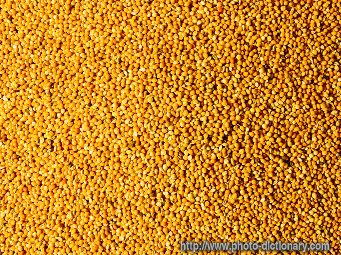 millet grains - photo/picture definition - millet grains word and phrase image