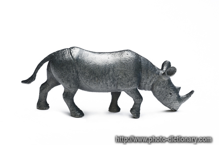 plastic rhino - photo/picture definition - plastic rhino word and phrase image