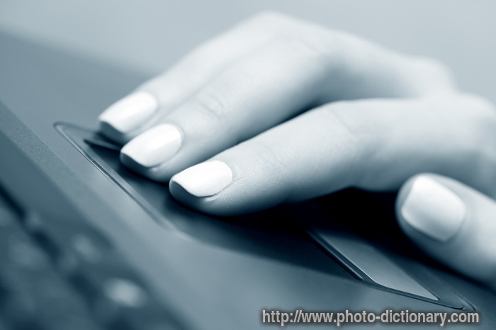 touchpad - photo/picture definition - touchpad word and phrase image