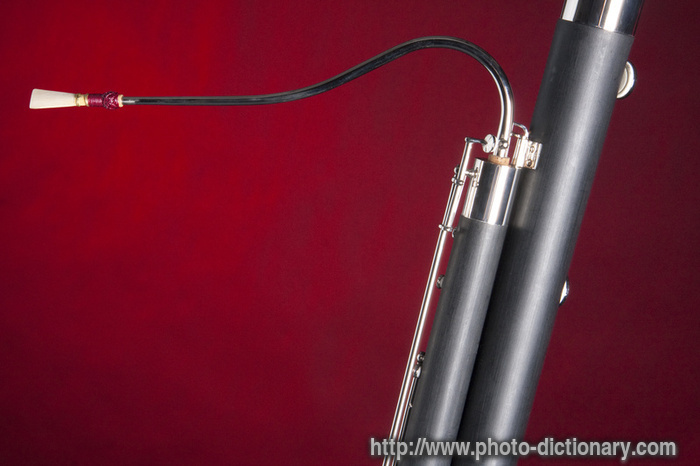double reed bassoon - photo/picture definition - double reed bassoon word and phrase image