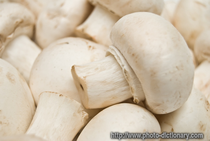 champignions - photo/picture definition - champignions word and phrase image