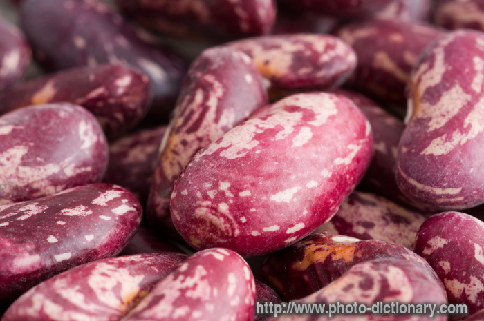 haricot beans - photo/picture definition - haricot beans word and phrase image