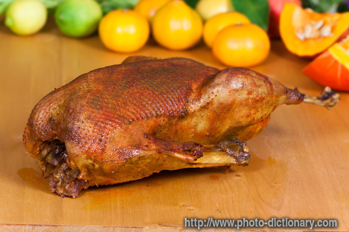 baked goose - photo/picture definition - baked goose word and phrase image