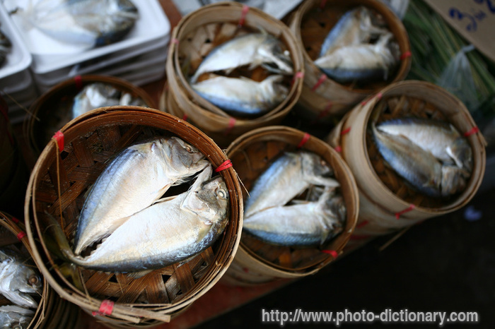 salted herrings - photo/picture definition - salted herrings word and phrase image