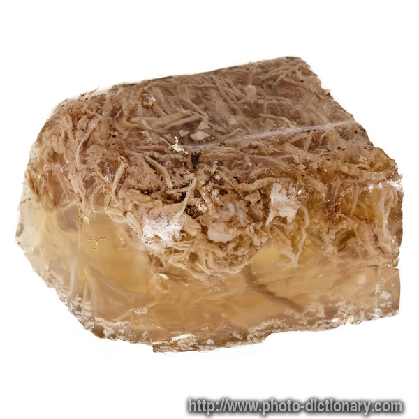 meat aspic - photo/picture definition - meat aspic word and phrase image