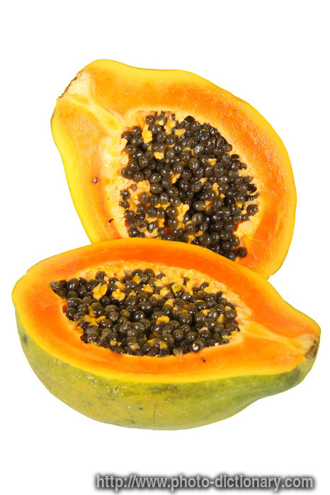 carica papaya - photo/picture definition - carica papaya word and phrase image