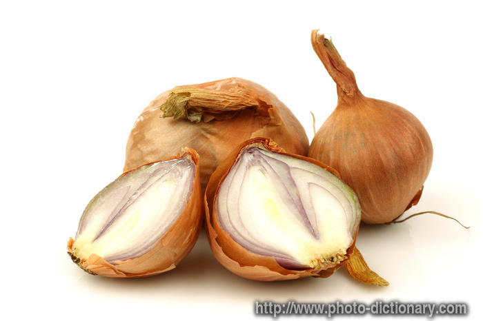 shallots - photo/picture definition - shallots word and phrase image