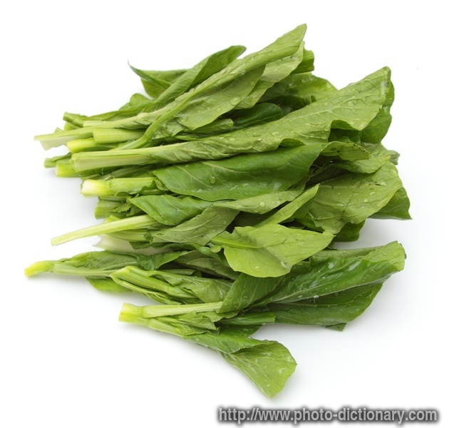bok choy leaves - photo/picture definition - bok choy leaves word and phrase image