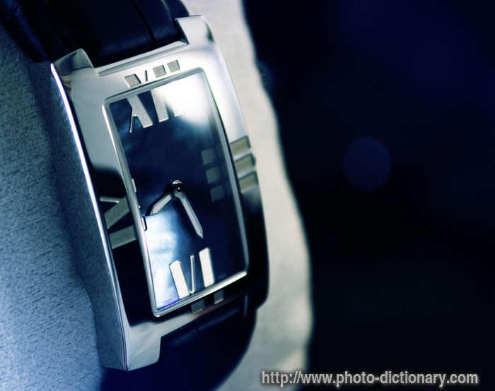 platinum watch - photo/picture definition - platinum watch word and phrase image