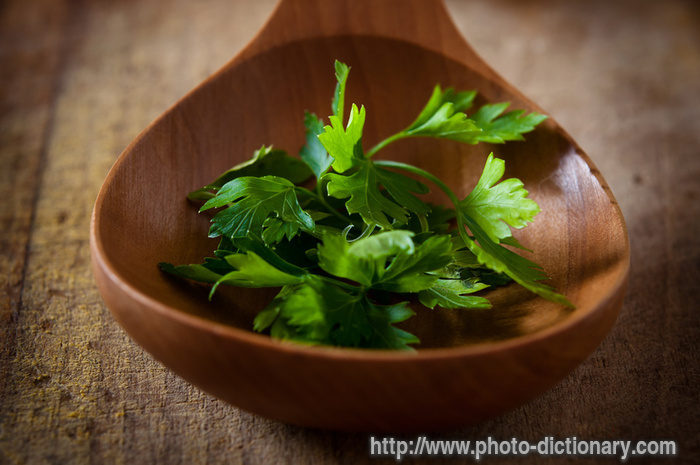 stalks of parsley - photo/picture definition - stalks of parsley word and phrase image
