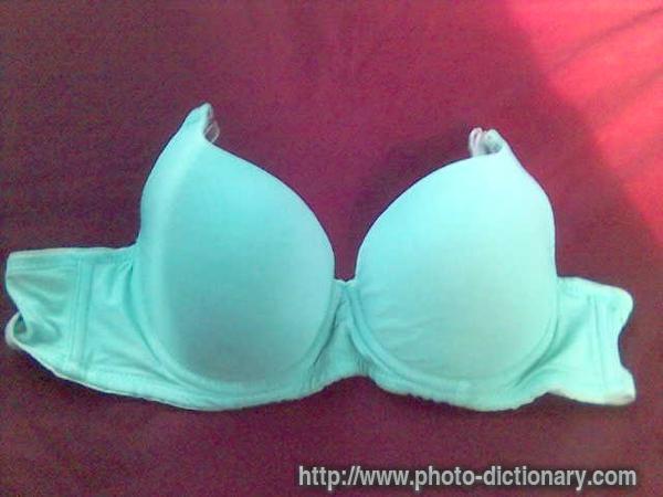 bra - photo/picture definition - bra word and phrase image