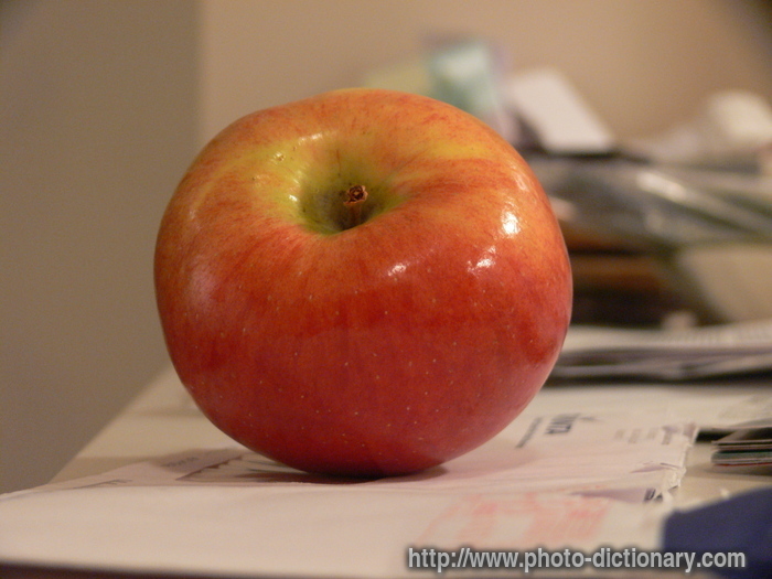 apple - photo/picture definition - apple word and phrase image