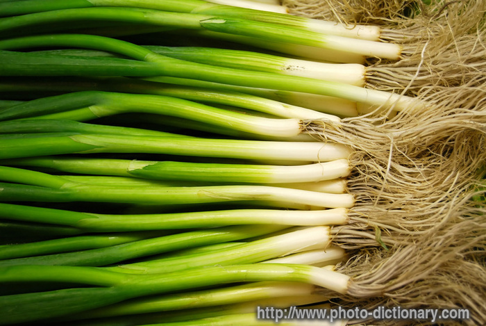 spring onion - photo/picture definition - spring onion word and phrase image