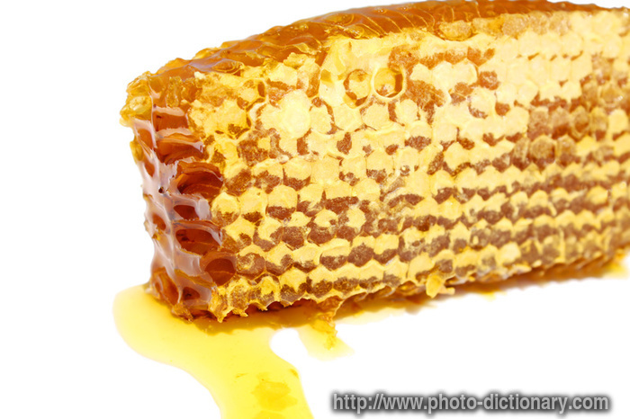 honeycomb - photo/picture definition - honeycomb word and phrase image