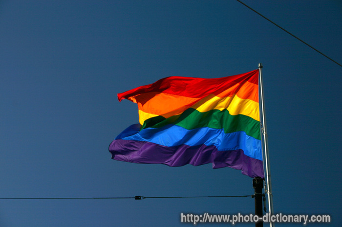 rainbow flag - photo/picture definition - rainbow flag word and phrase image
