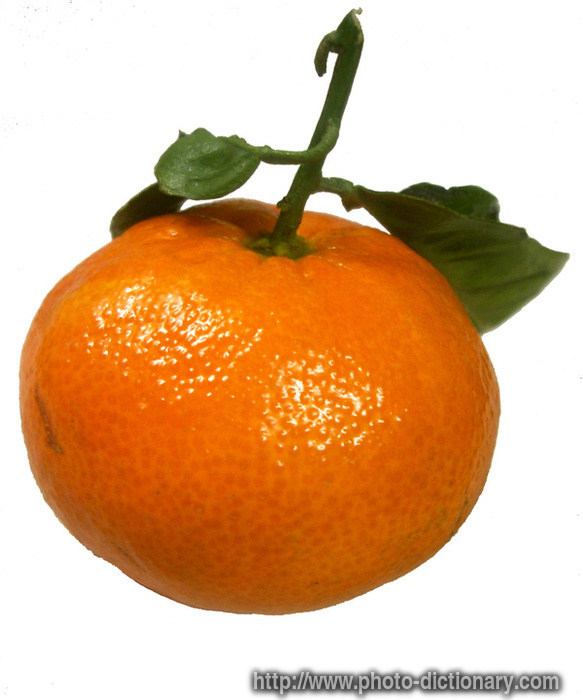 tangerine - photo/picture definition - tangerine word and phrase image