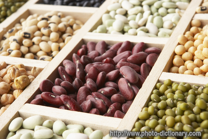 beans - photo/picture definition - beans word and phrase image