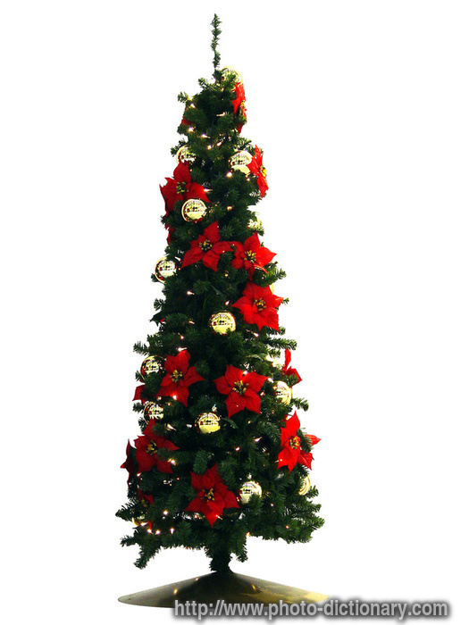 Christmas tree - photo/picture definition - Christmas tree word and phrase image