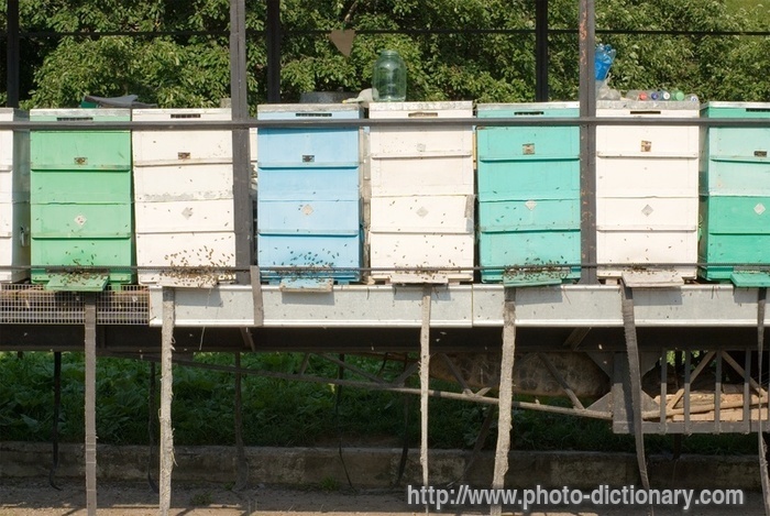 beehive - photo/picture definition - beehive word and phrase image