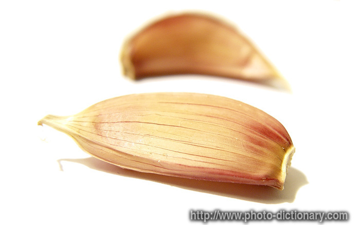 garlic clove - photo/picture definition - garlic clove word and phrase image