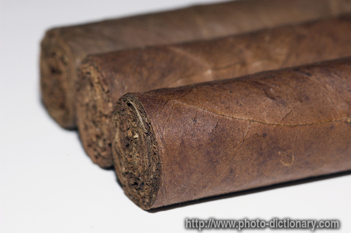 Cuban cigar - photo/picture definition - Cuban cigar word and phrase image