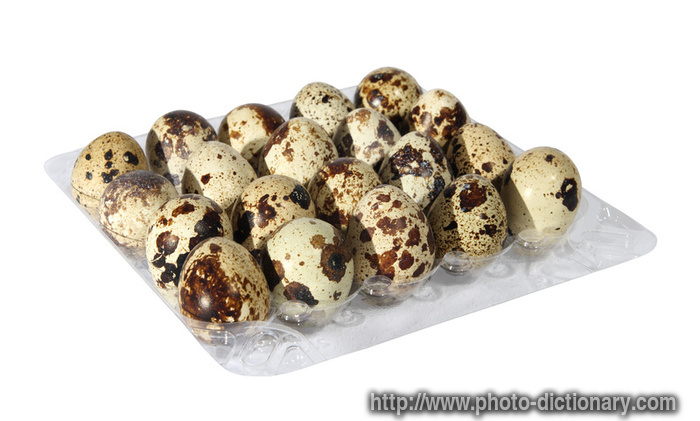 quail eggs - photo/picture definition - quail eggs word and phrase image