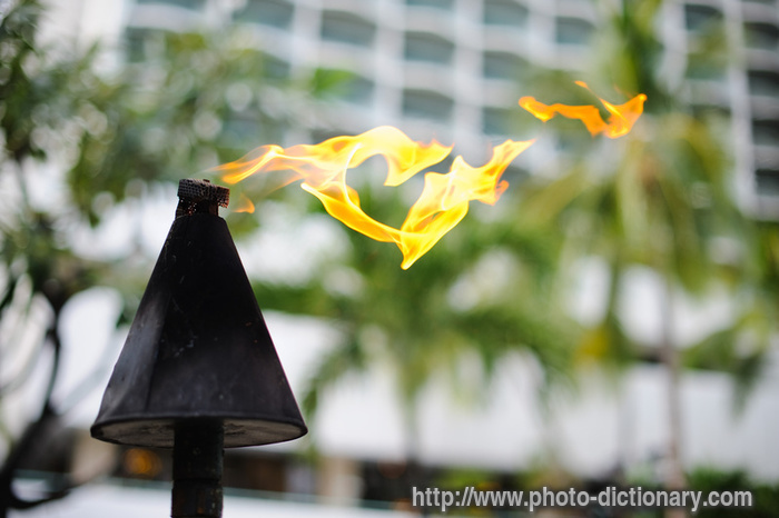 Hawaian torch - photo/picture definition - Hawaian torch word and phrase image