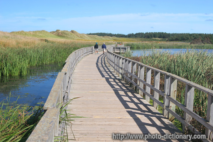 boardwalk - photo/picture definition - boardwalk word and phrase image