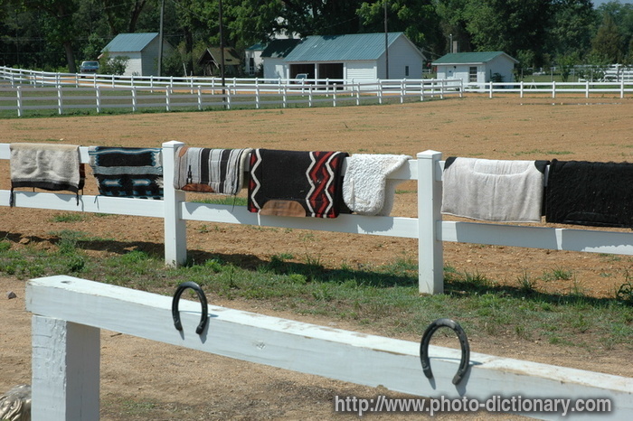 saddle blankets - photo/picture definition - saddle blankets word and phrase image