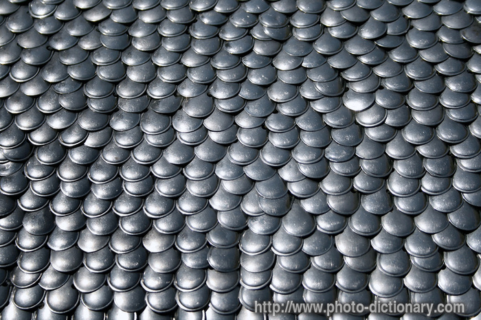 chain armour - photo/picture definition - chain armour word and phrase image