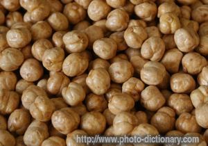 Hazelnuts - photo/picture definition - Hazelnuts word and phrase image