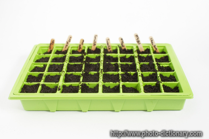 seed tray - photo/picture definition - seed tray word and phrase image