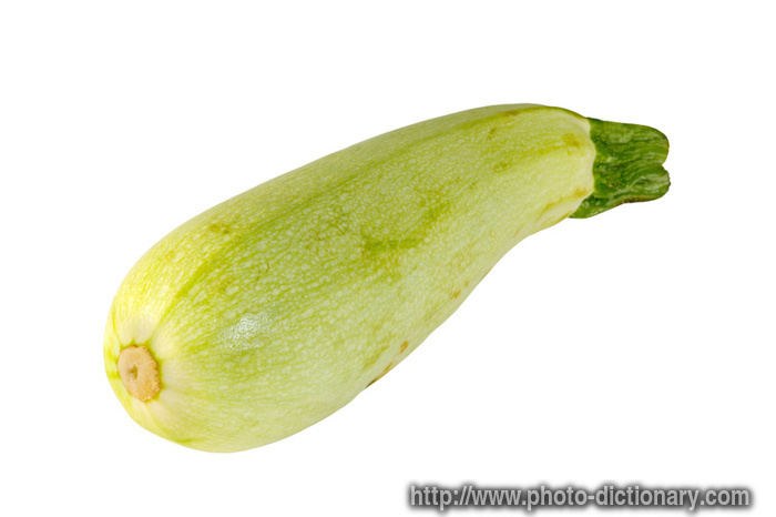 marrow - photo/picture definition - marrow word and phrase image