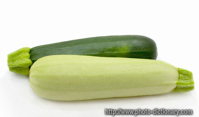 marrow - photo/picture definition - marrow word and phrase image