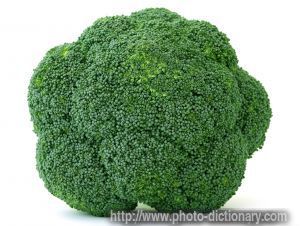 broccoli photos