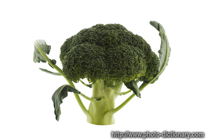 Broccoli - photo/picture definition - Broccoli word and phrase image