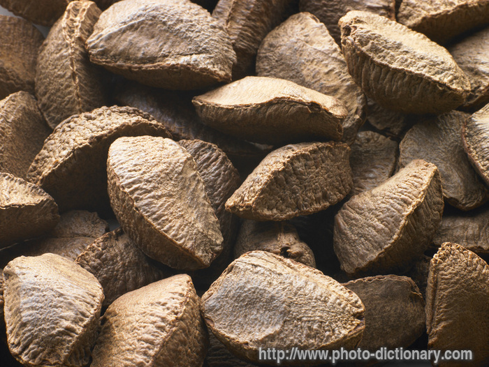 Brazil nuts - photo/picture