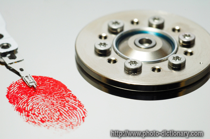 data security - photo/picture definition - data security word and phrase image