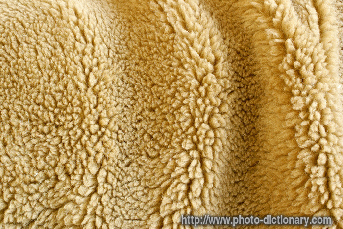 camel blanket - photo/picture definition - camel blanket word and phrase image