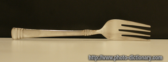 fork - photo/picture definition - fork word and phrase image