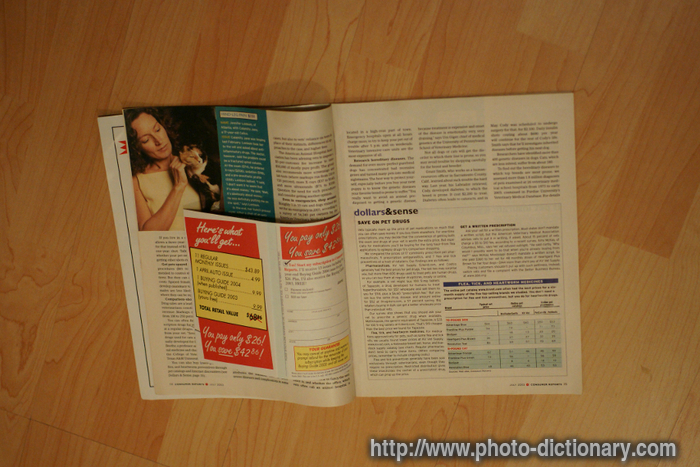 magazine - photo/picture definition - magazine word and phrase image