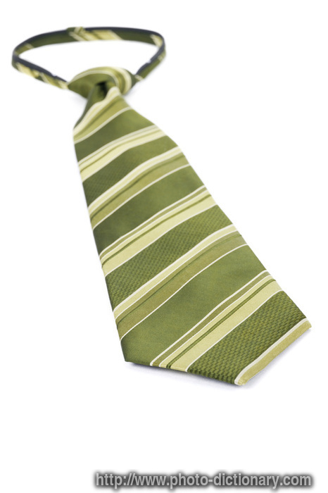 necktie - photo/picture definition - necktie word and phrase image
