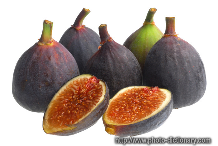 purple figs - photo/picture definition - purple figs word and phrase image