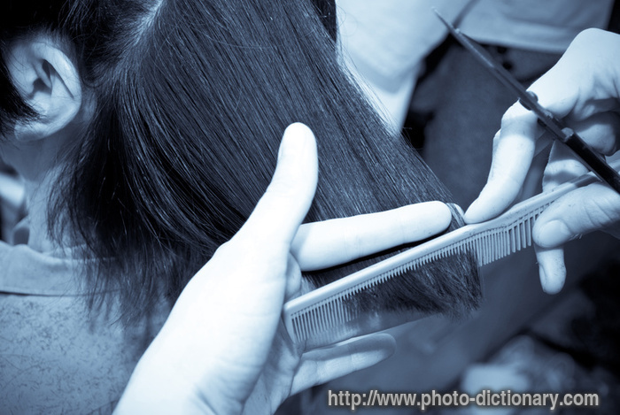 cutting hair - photo/picture definition - cutting hair word and phrase image