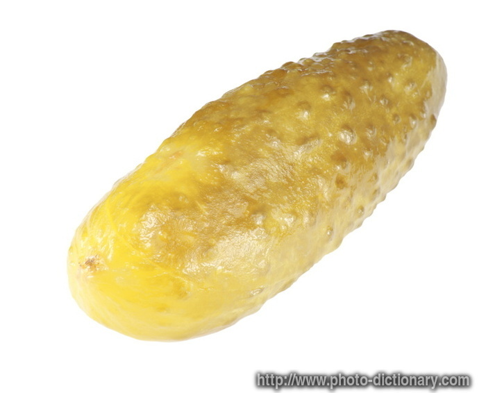 salted cucumber - photo/picture definition - salted cucumber word and phrase image