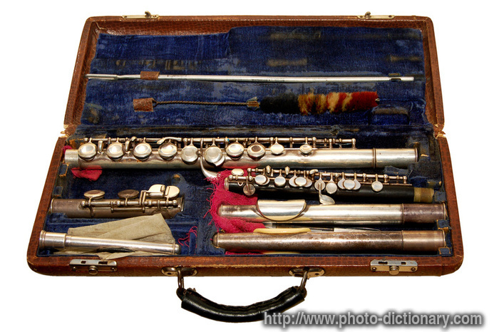 flute case - photo/picture definition - flute case word and phrase image
