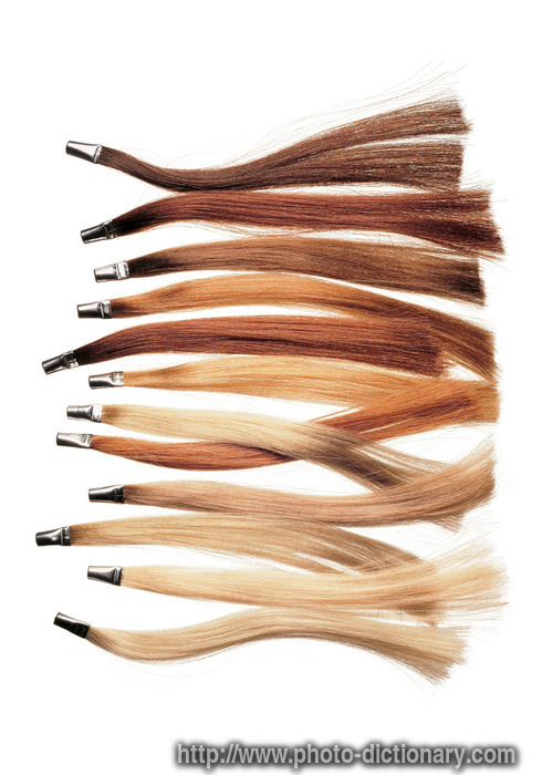 hair strands - photo/picture definition - hair strands word and phrase image