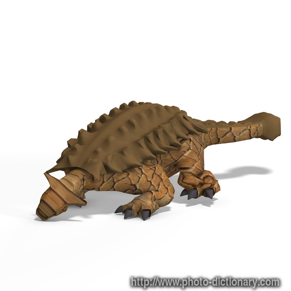 ankylosaurus - photo/picture definition - ankylosaurus word and phrase image