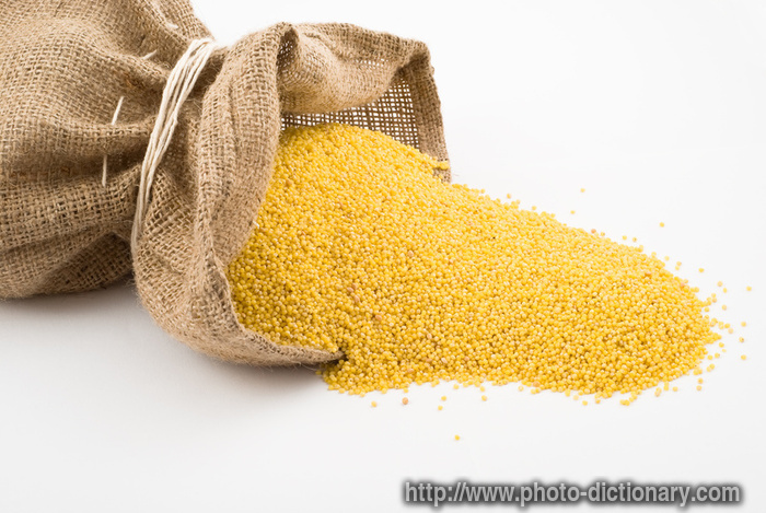millet - photo/picture definition - millet word and phrase image