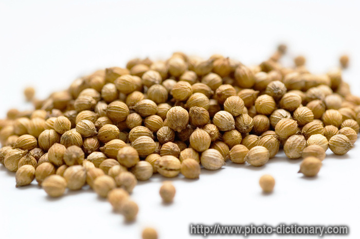 coriander seeds - photo/picture definition - coriander seeds word and phrase image